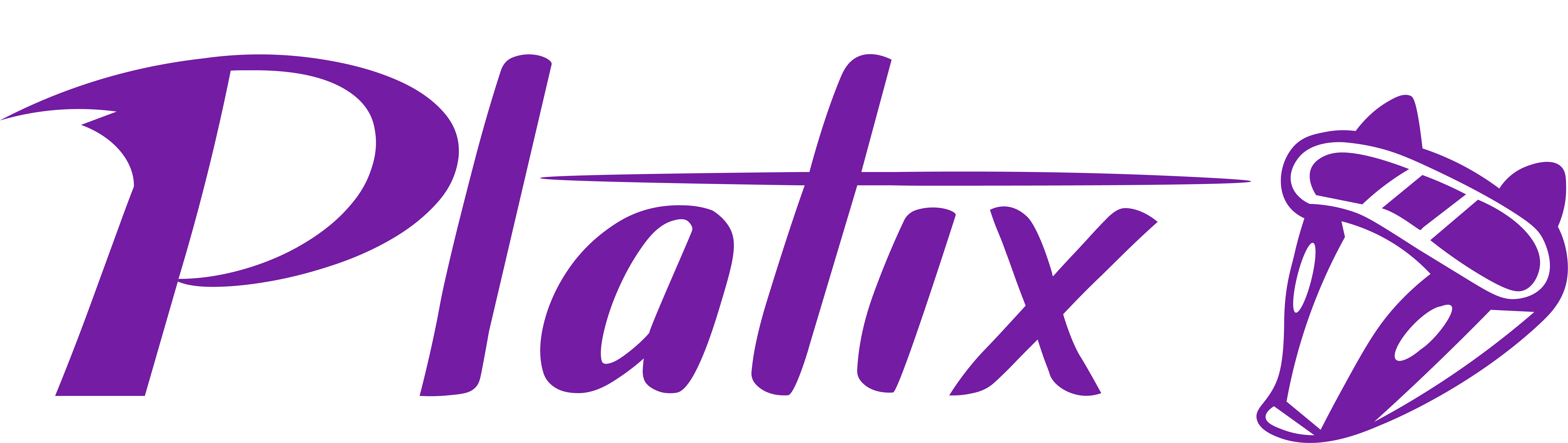 Platix Logo